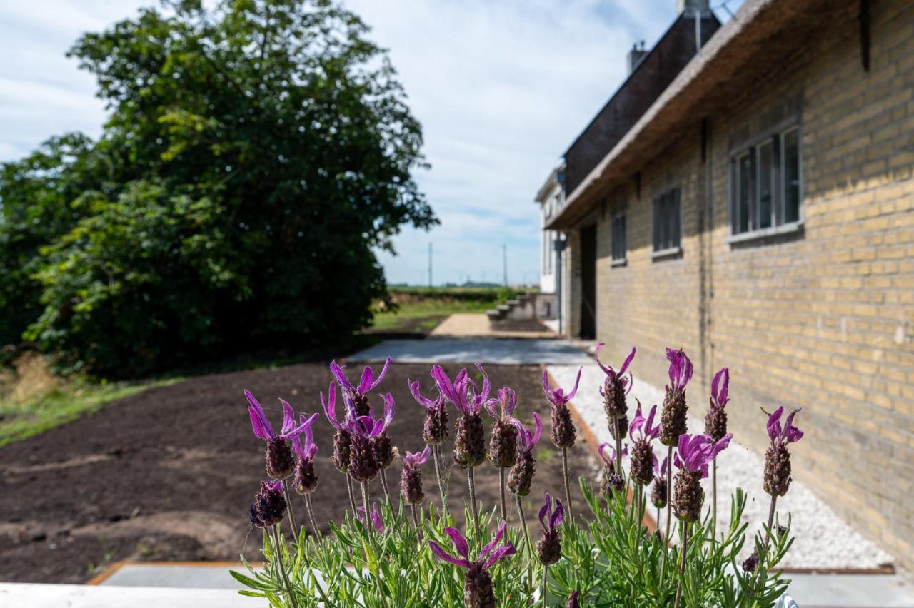 Appartement De Dageraad In Monumentale Boerderij Kimswerd Luaran gambar