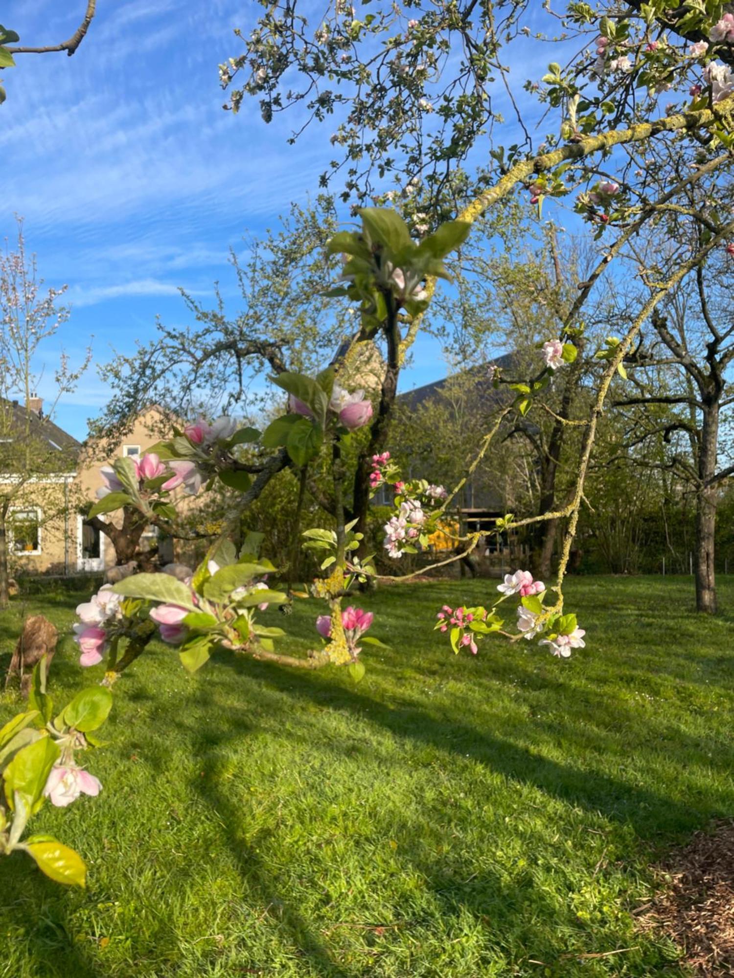 Appartement De Dageraad In Monumentale Boerderij Kimswerd Luaran gambar